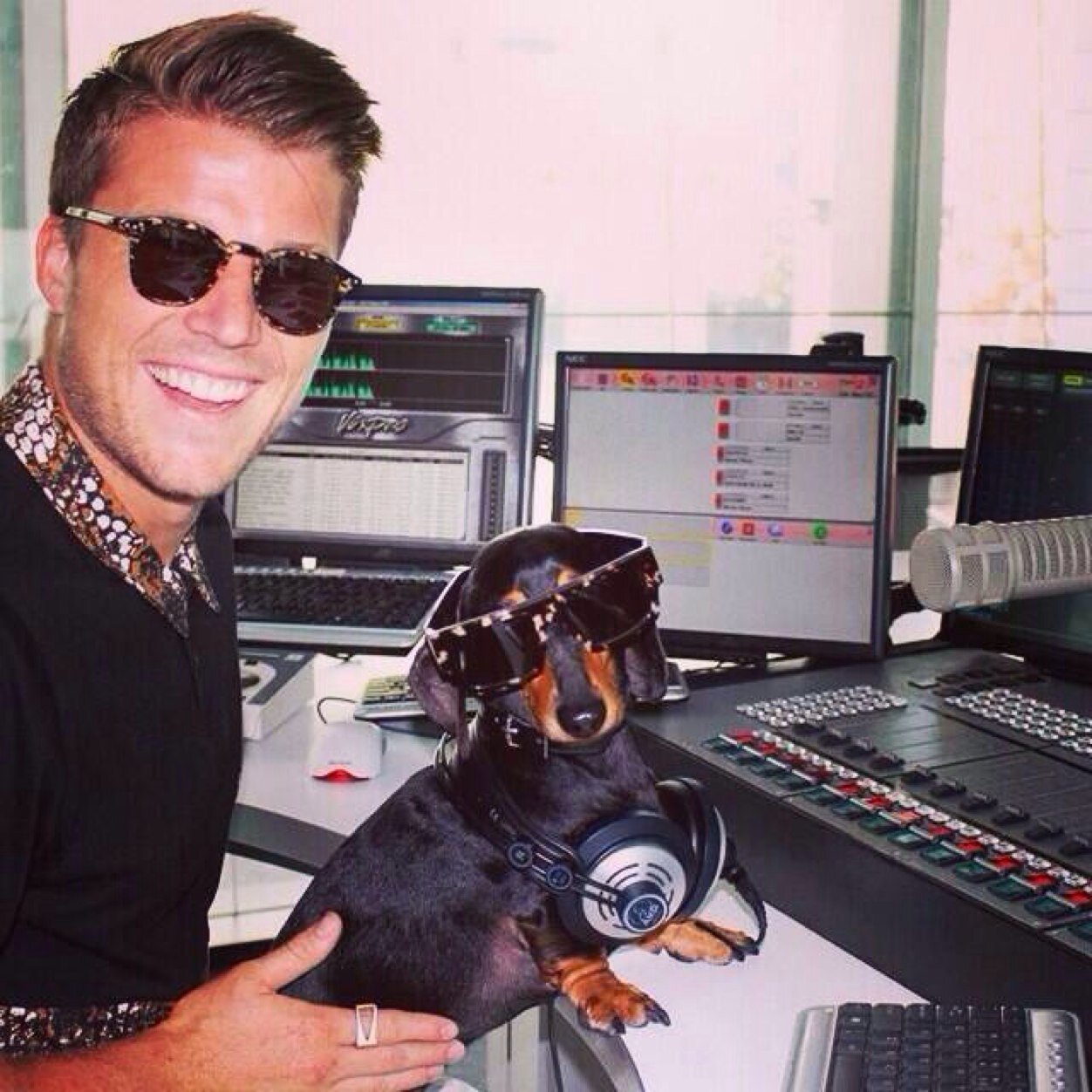 i have a weird obsession with sausage dogs