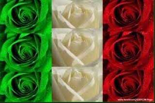 nancy_troia's profile picture. 