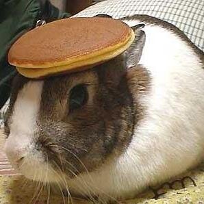 The only entertainment source curated by an actual bunny.