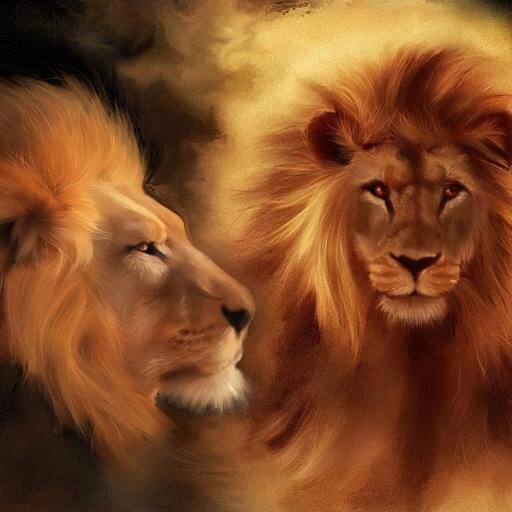 orbittle's profile picture. 