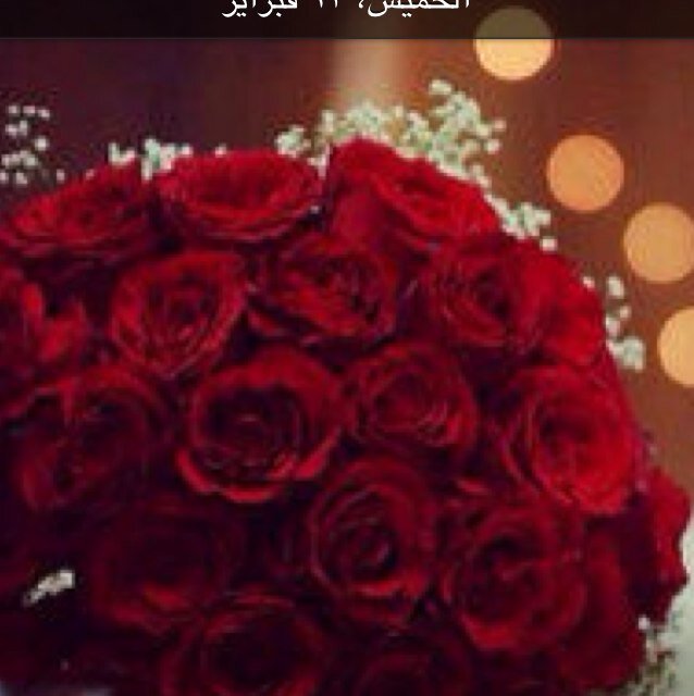 ms33202's profile picture. بـ عالم البلاك بيٌري انا هنآ دائمآ PIN:25E0701C