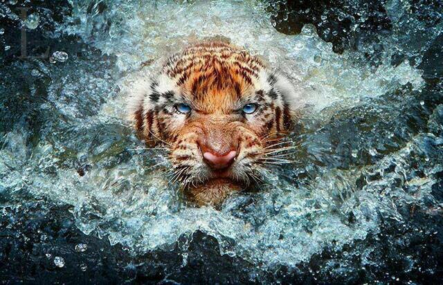Life's too short.....FUCKING enjoy it!!!