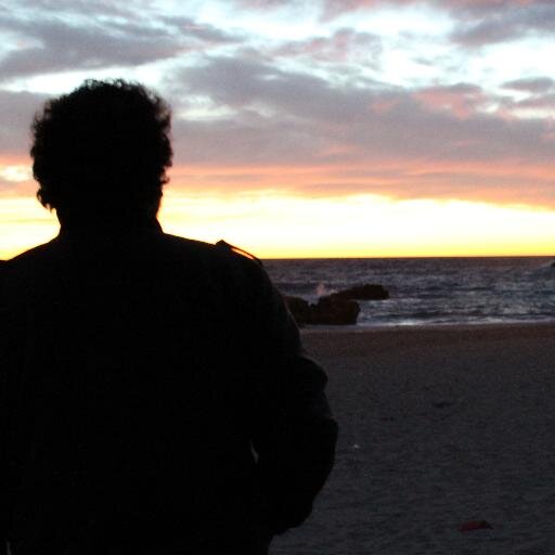 PitPitPeter's profile picture. Currifichantenormalillo