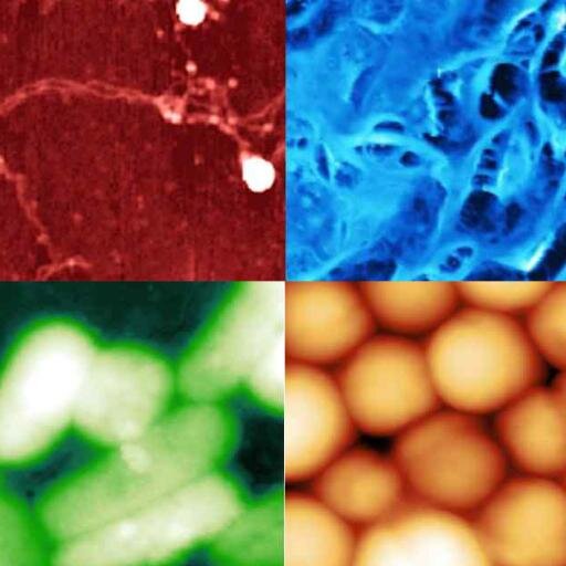 AFM Help Profile