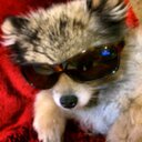 Leanna Combs - @textinchic123 - Twitter