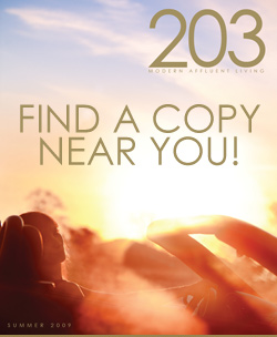 203 Modern Affluent Living