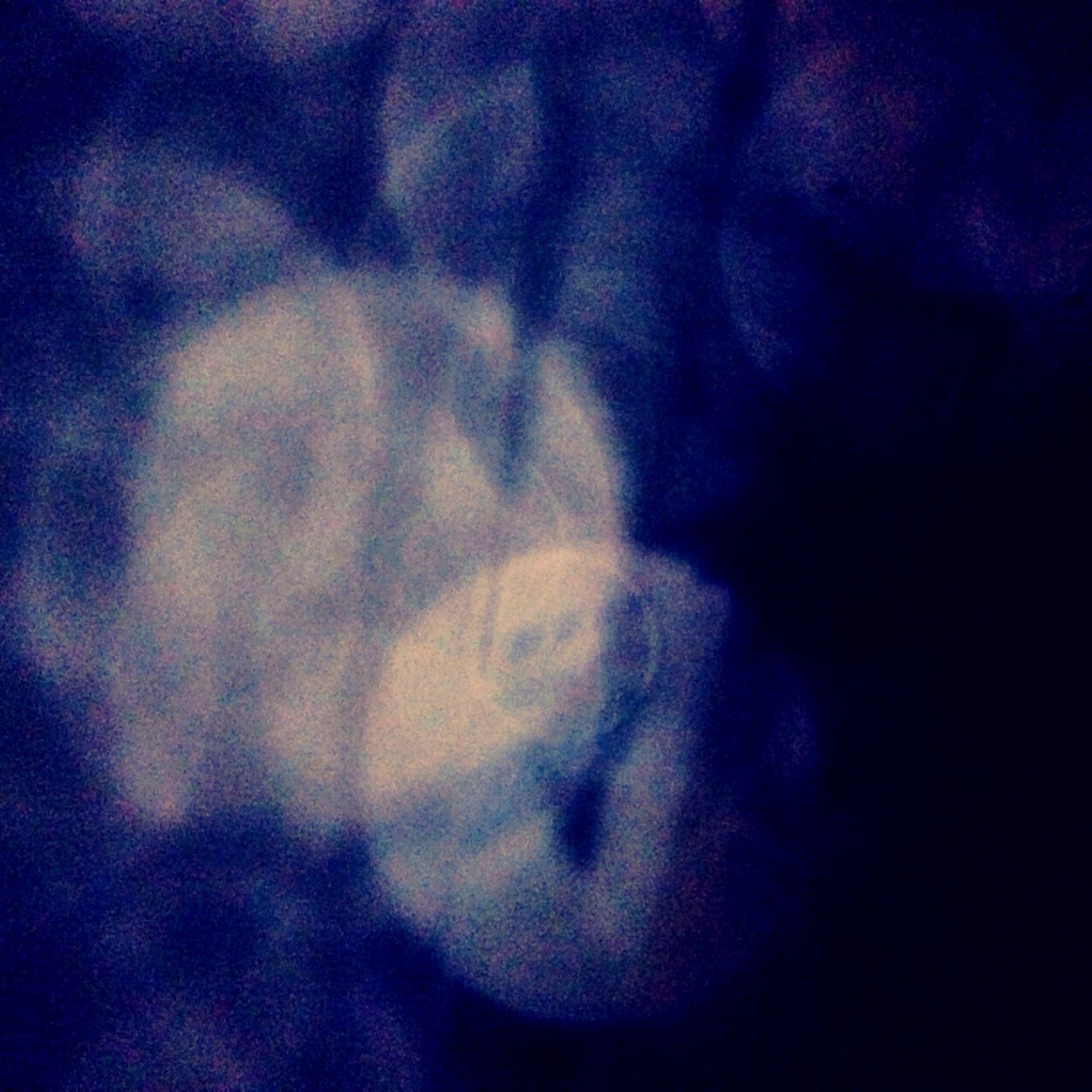 りんとしてみちづれ。