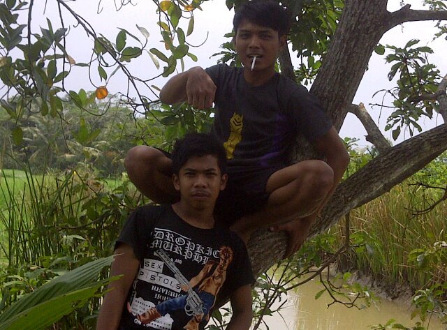 hartikaarmin96's profile picture. L E O