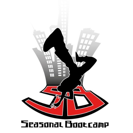 SeasnalBootcamp's profile picture. A Bootcamp for All Hip Hop dancers ( break, popping, locking, house and Hip Hop )