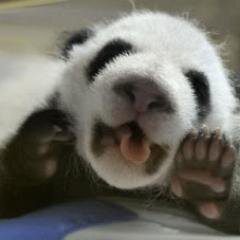 Rockstar_Lexie's profile picture. Cory & Naya forever in our hearts. ❤️