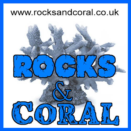 Your one stop shop for rocks, coral and aquarium decorations. No matter what size or shape your aquarium is, there's an aquarium decoration for you!