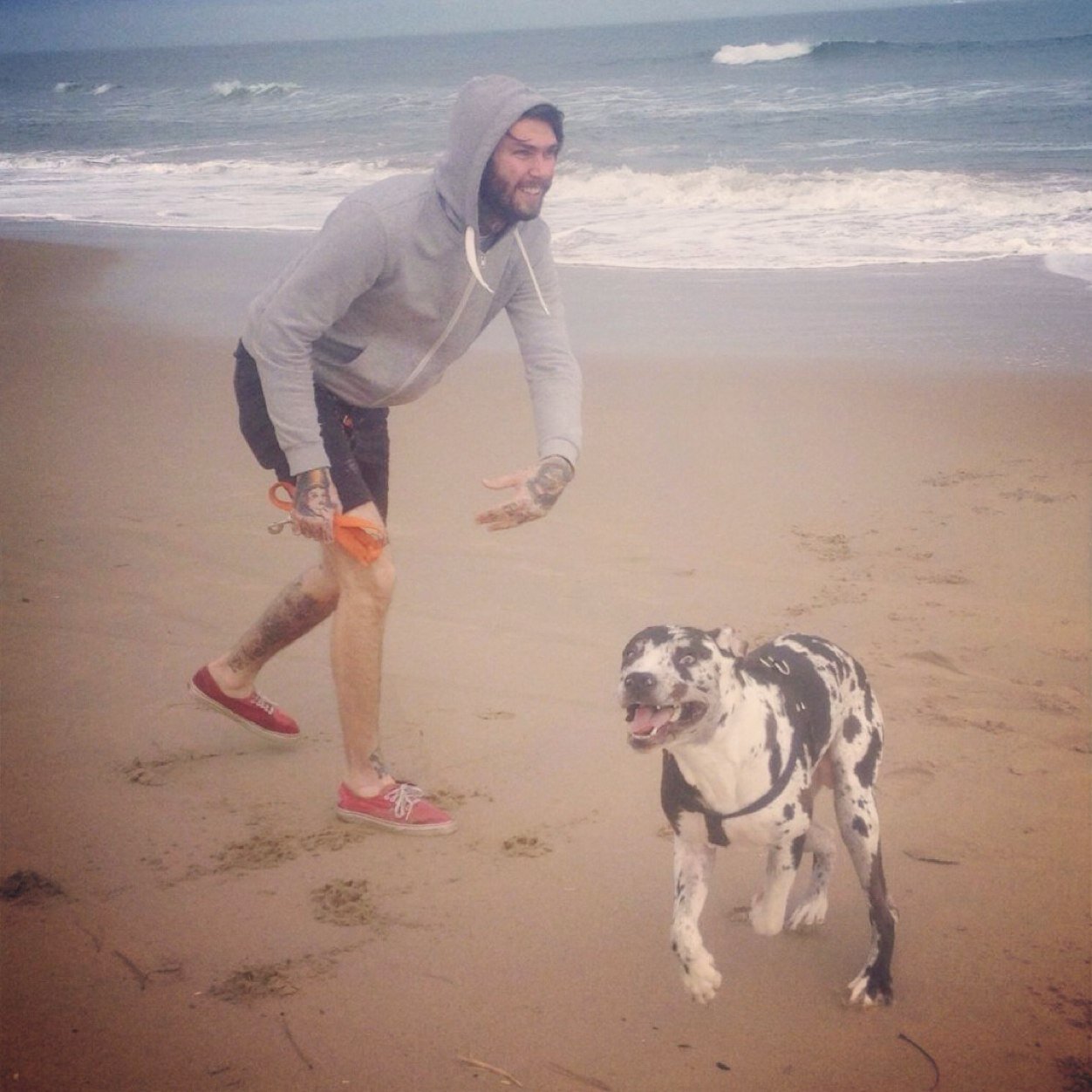 MikeRamsey24's profile picture. Yes, i like tattoos.