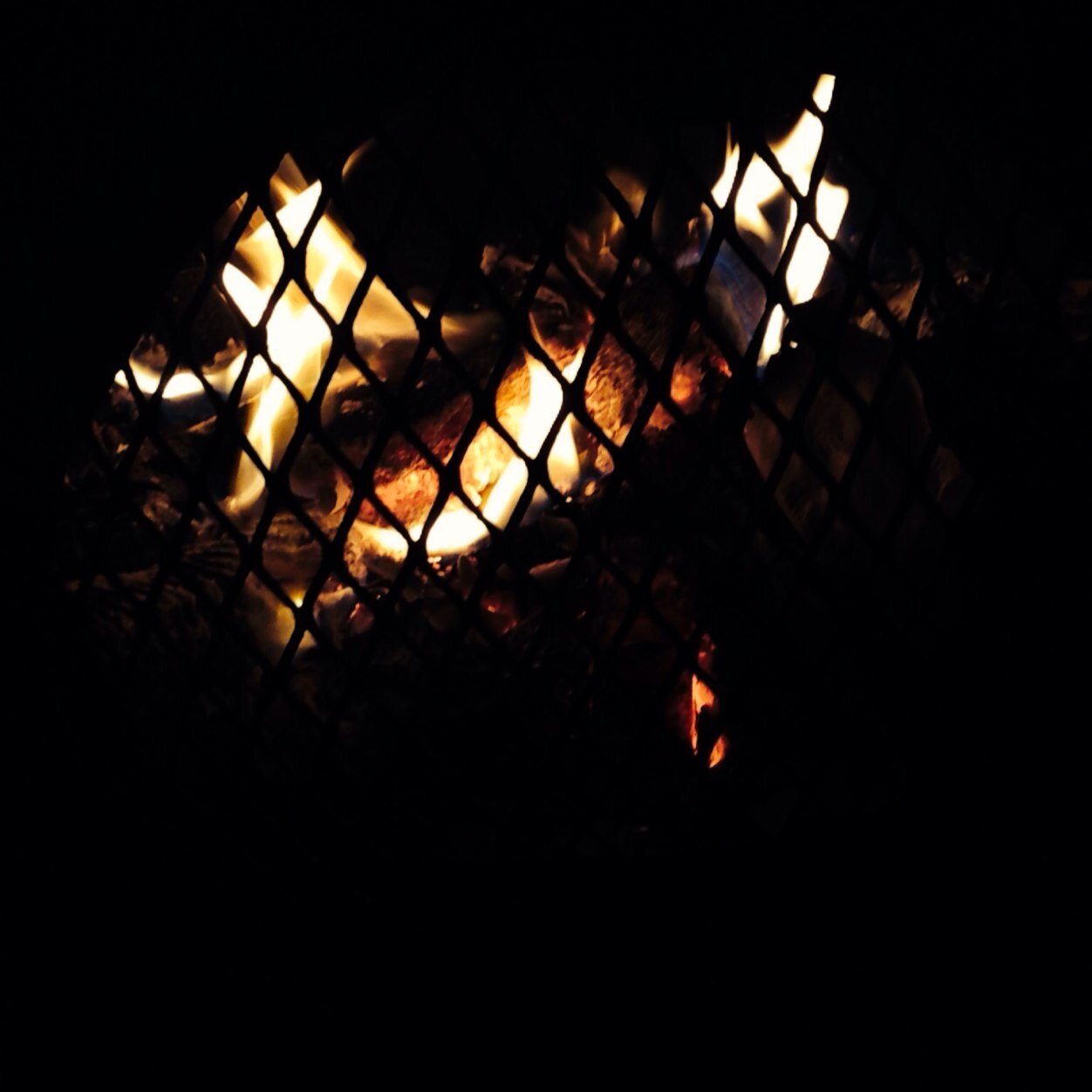 READBIO4319500's profile picture. 