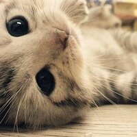 Beth (@bethbrazao) 's Twitter Profile