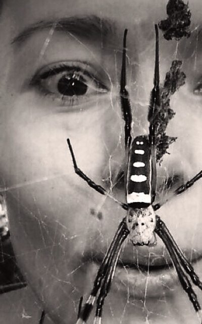 JeanieDragon's profile picture. Love rocks and peculiar people| Scorpio & year of the EarthDragon| Jikiden Reiki| inlove with the universe| Im told I think of all the wrong things