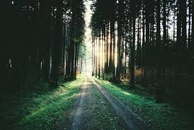 helpyourself9's profile picture. you can change and you stop being incompetent , only you need mind