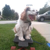 Carrie Ephgrave (@ephgrave_m) 's Twitter Profile