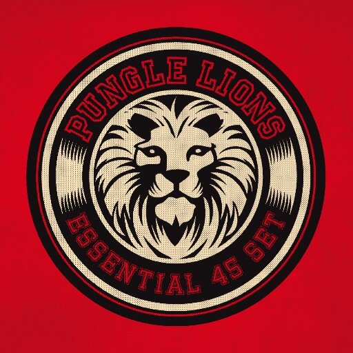 (Reggae, Rocksteady, Punk-rock) New video: http://t.co/7WpCGaOGSd #PungleLions#LaPhaze
