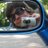 connieburke's profile image
