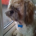 Janet Considine - @jcplastichands - Twitter