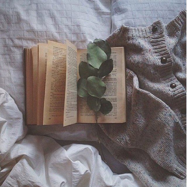 nowef_1's profile picture. http://t.co/RwxRAbeJxF