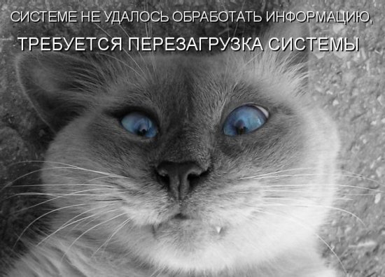 Сижу ничего не делаю