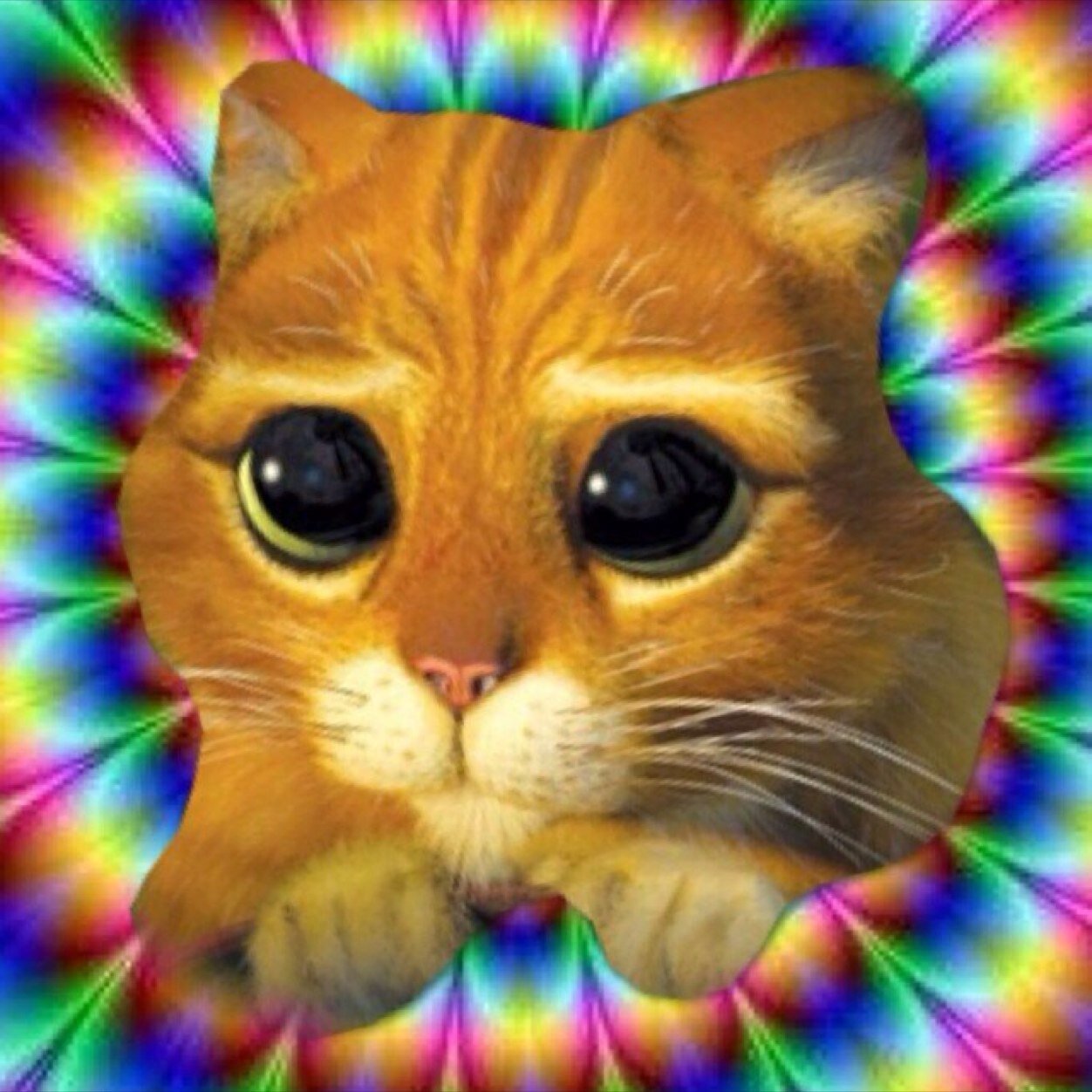 empireofbiebz Profile Picture