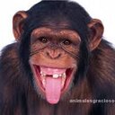 Melvin Mora - @Melvinmora000 - Twitter