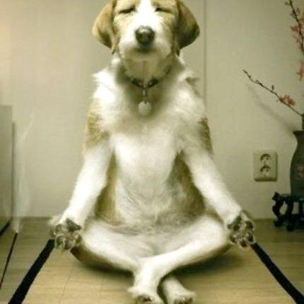 desapego, conciencia, cercania.. yoga!