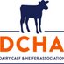 DCHA (@calfandheifer) Twitter profile photo