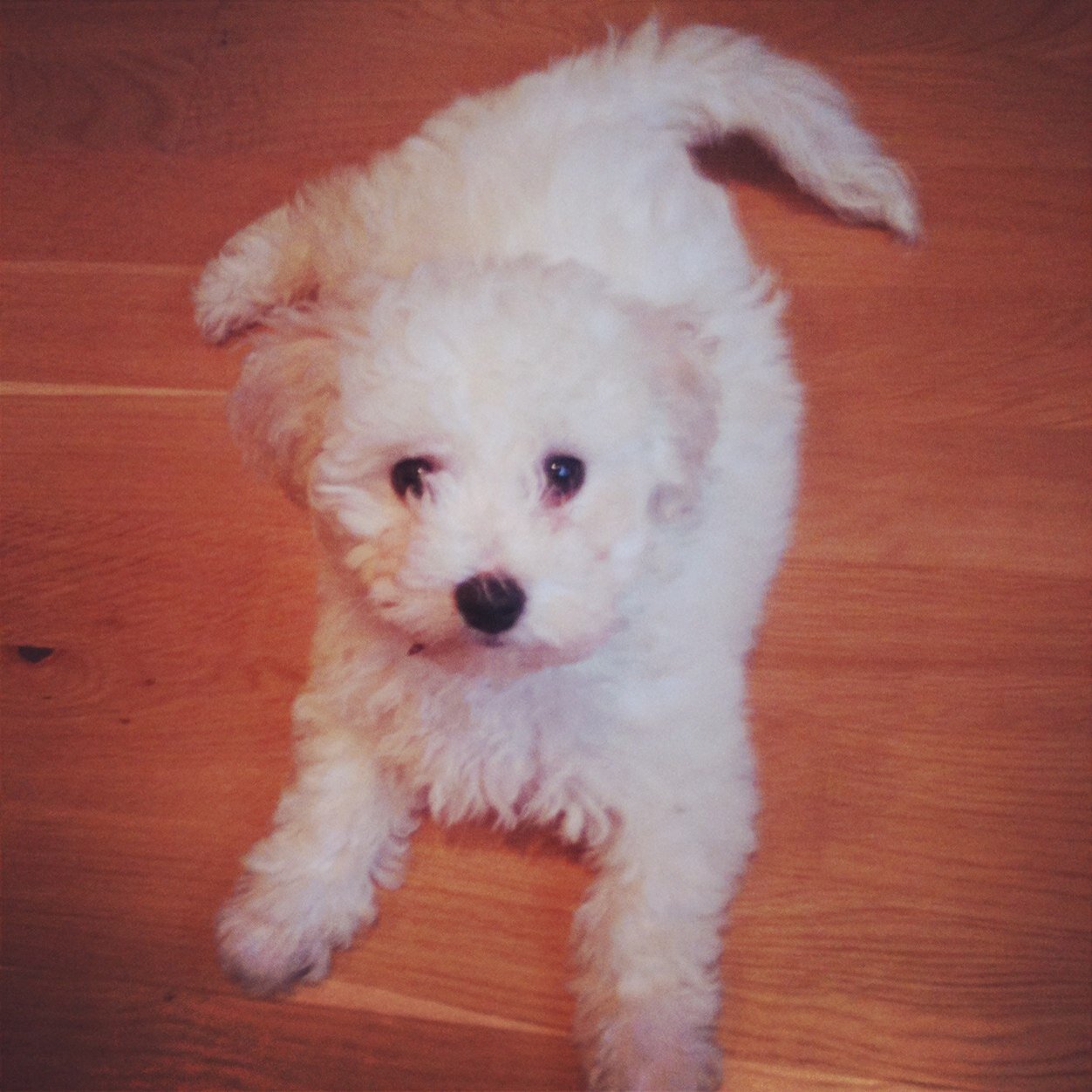 ZoeFitzgerald6's profile picture. 