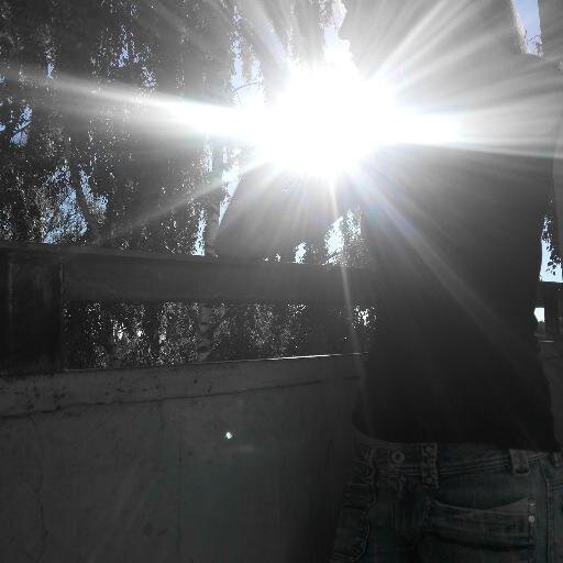 peleens19's profile picture. 