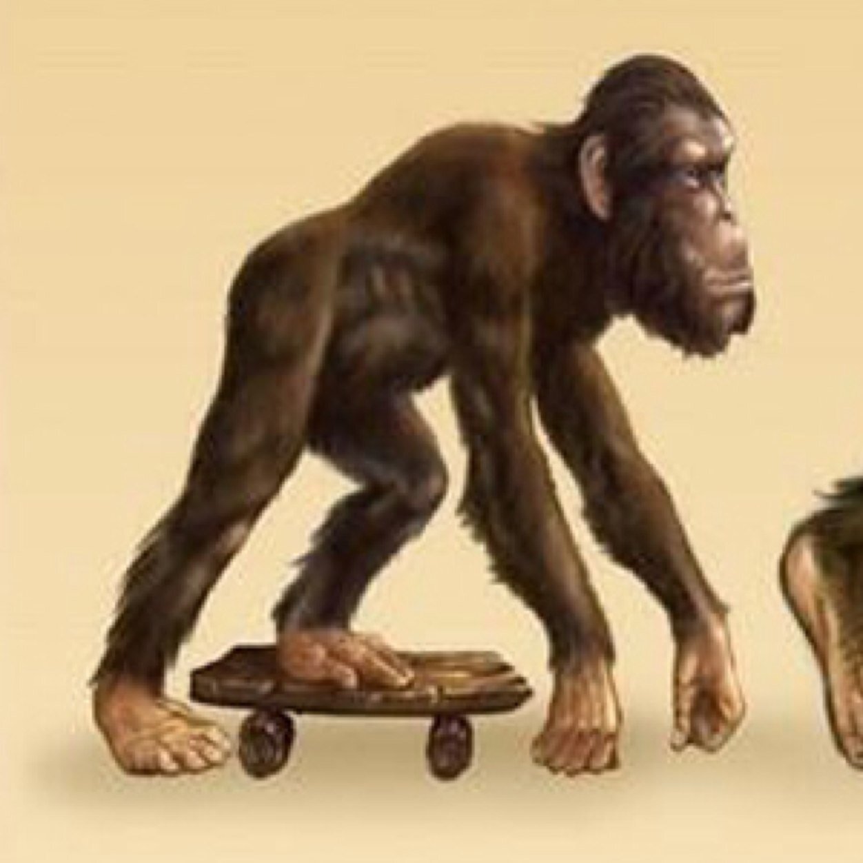 __skateboard_'s profile picture. スケーター専用アカです。スケート好き集合！スケボーあるあるをツイートしていきます共感したらRT！ フォローよろしく！フォロー返します！