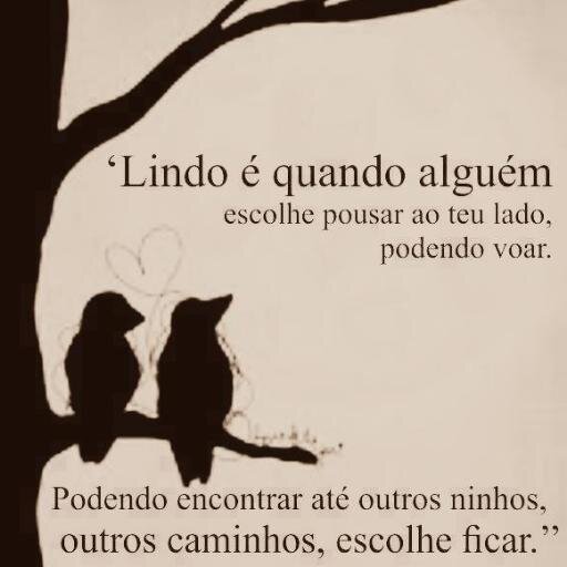 andar passos que possam me machucar, apenas deixo minha paixão me guiar.