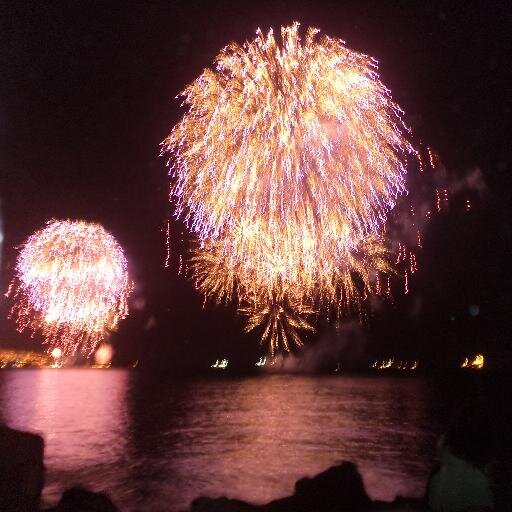 Bernardo0003's profile picture. 