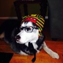 Alberto macuil  - @macuil_alberto - Twitter