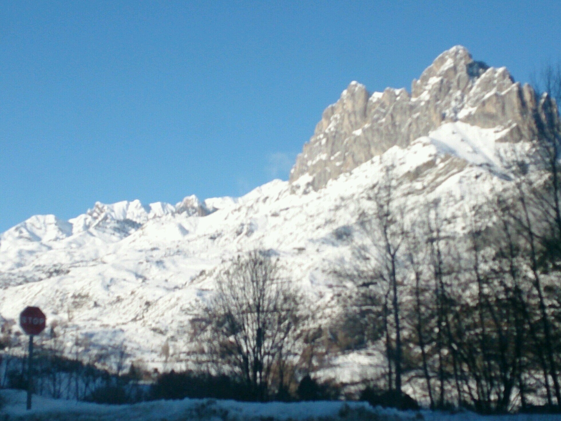 anicetohvc's profile picture. 