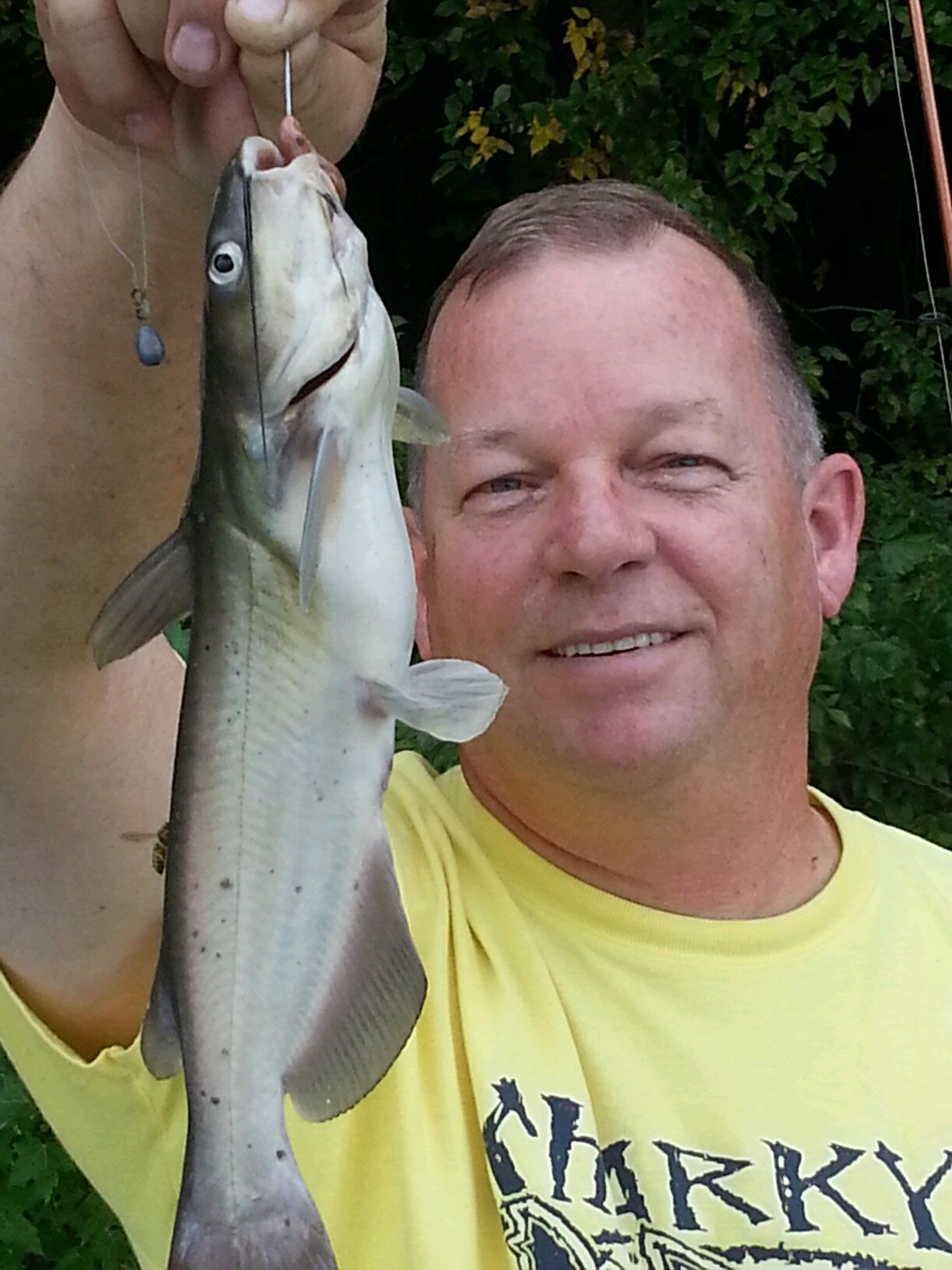 klkitchen52's profile picture. RETIRED - 
Draft beer technician for Rack Draft Service