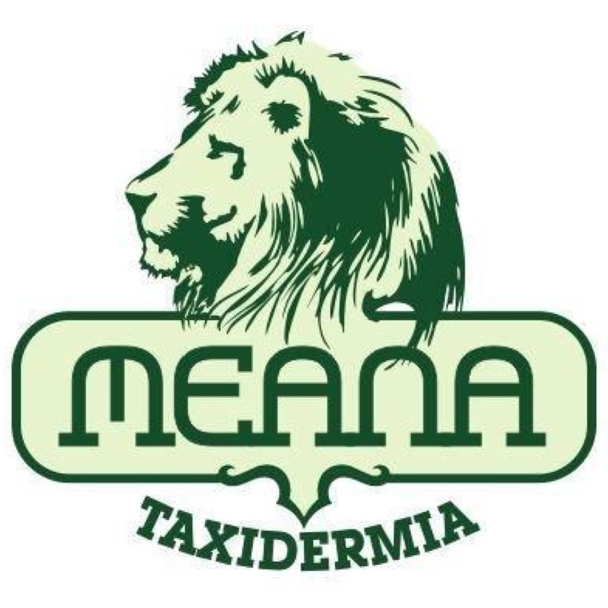 TaxidermiaMeana's profile picture. Taxidermia de alta calidad.