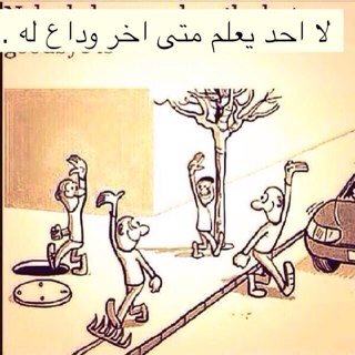 pin:290F9B15