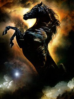 we are suppliers of all equestrian products,veterinary instruments,farrier tools and surgical instruments...we welcome to our all costumers please join us...