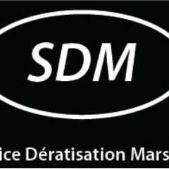 Entreprise de dératisation des souris et des rats a Marseille pour les particuliers et les entreprises (syndics, restaurant, hôtels, entrepôts, etc…).
