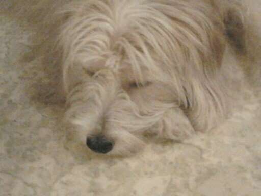 Sebasti63194523's profile picture. 