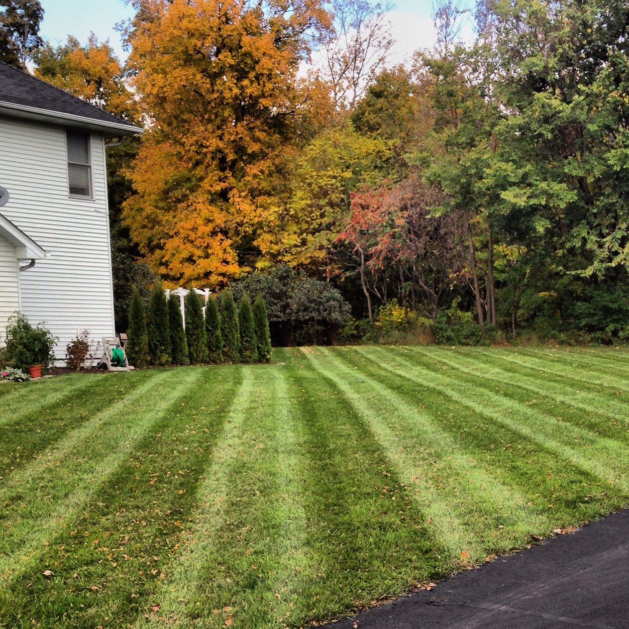 bestmowingpics Profile Picture