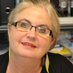 Vigdis Bjørkøy (@vigdisbjorkoy) Twitter profile photo Vigdis Bjørkøy (@vigdisbjorkoy) Twitter profile photo