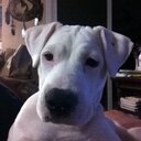 Ray McDaniel - @RayMcDaniel6 - Twitter