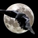 Steven Apel - @sapel7 - Twitter