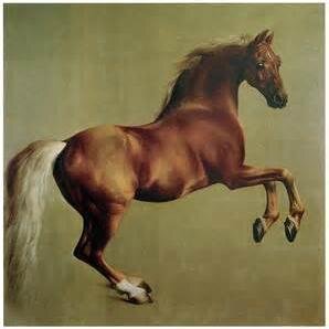 Horses, art, books, opera, music, film, theater, dance...just the good stuff, please. She/her