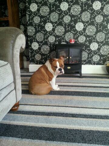 LawlerBarry's profile picture. 