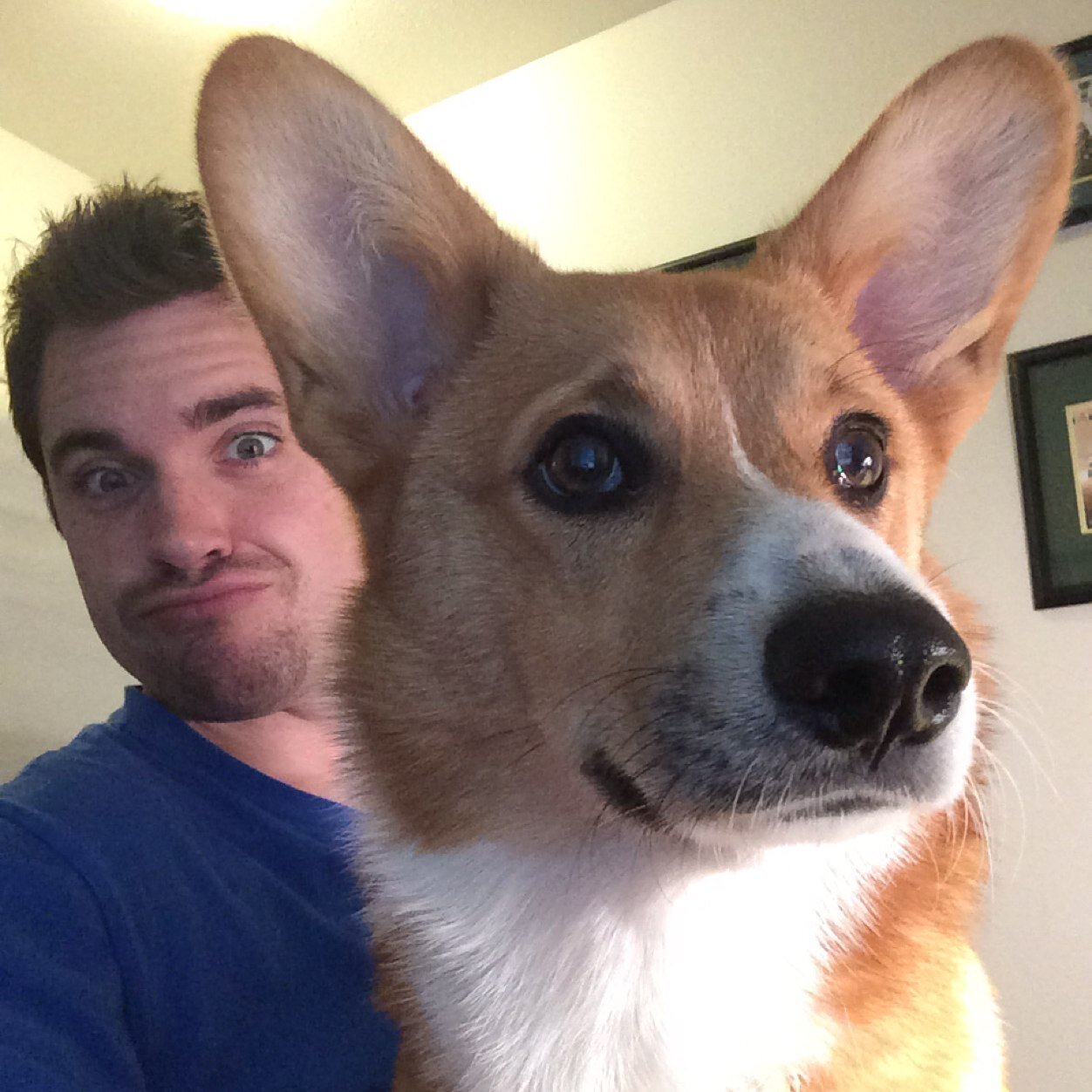 ScamStew's profile picture. 